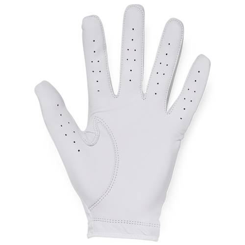 Under Armour M Iso-Chill Golf Glove 1