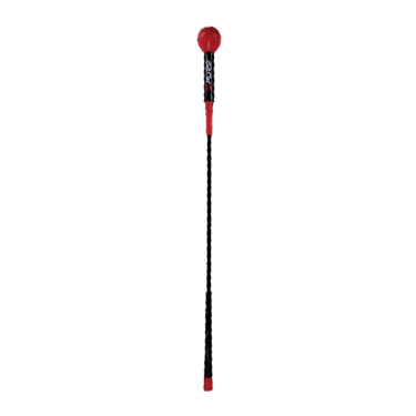 Pure2Improve Tempo Trainer 1