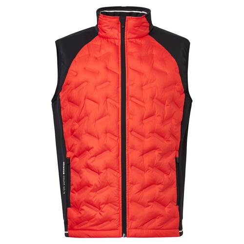 Abacus M Grove Hybrid Vest 16