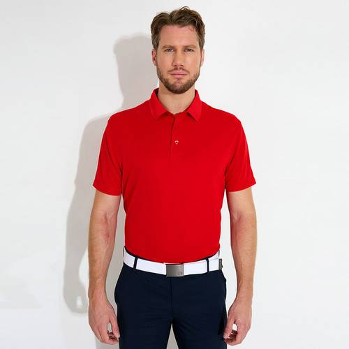 Abacus M Cray Polo 2