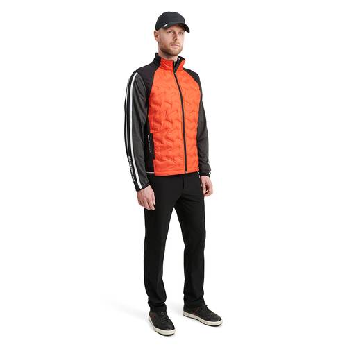 Abacus M Grove Hybrid Vest 12