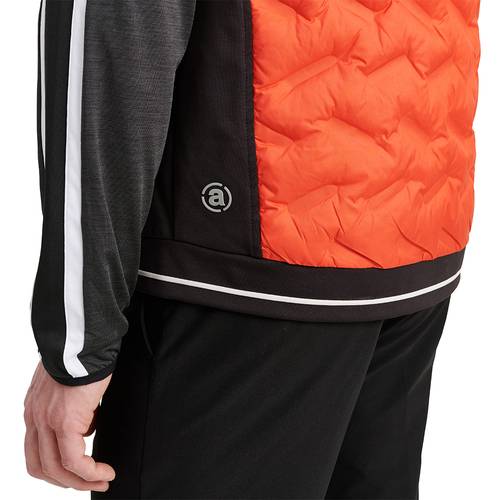 Abacus M Grove Hybrid Vest 15