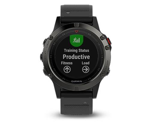 Garmin Fenix 5 3