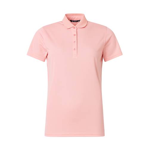 Abacus W Cray Polo 3